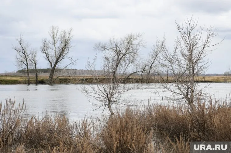 Прогноз обещает рост уровня воды с динамикой +5…+20 см