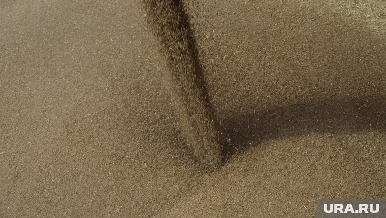 В США считают, что отправка зерна в Европу вместо бедных государств — обычная ситуация