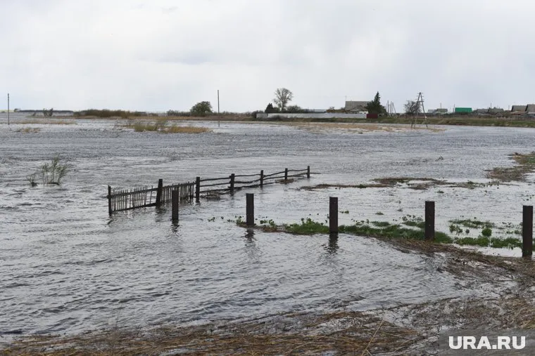 В Тарко-Сале на территории дач откачивают воду (архивное фото)