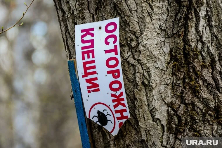 В Тюмени весной от клещей обработают парки, детские сады, школы