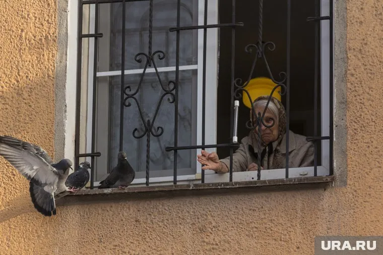 Голубей заживо замуровали на верхних этажах жилых домов