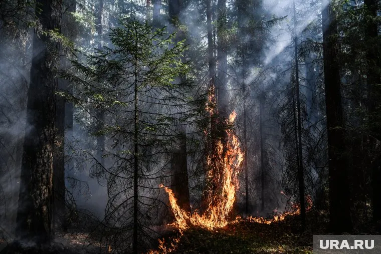 Между действиями виновника пожара и самим возгоранием могут пройти месяца