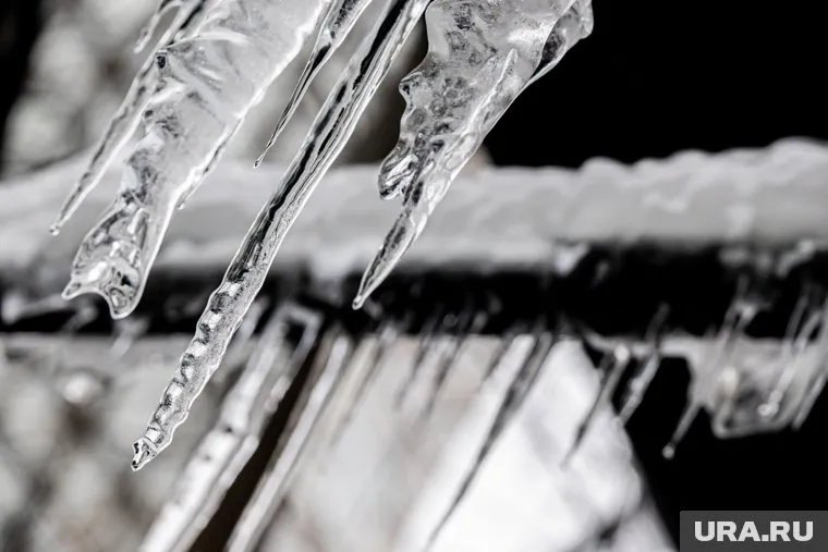 Организация «Счастье жить» помогает детям с ограниченными возможностями здоровья