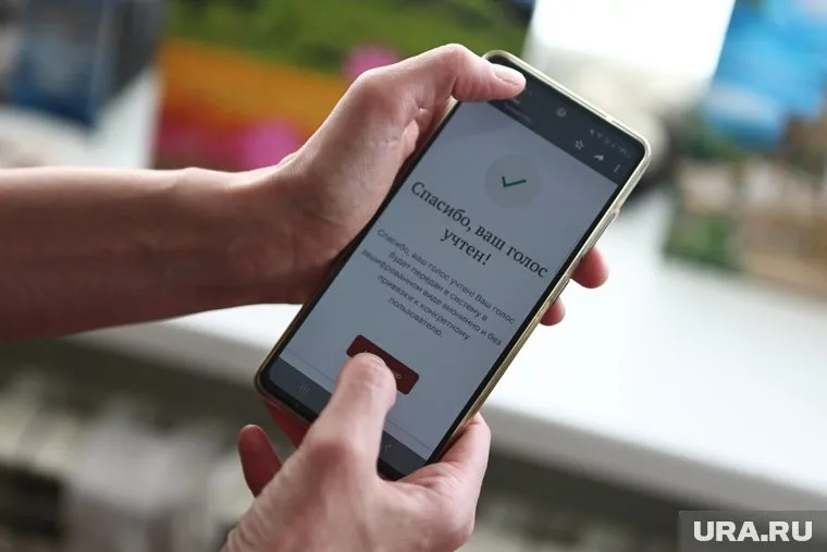 Голосование будет проходить на портале «Госуслуги»