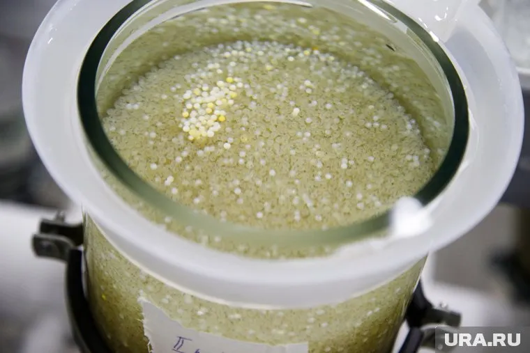 По заявлению покупательницы, икра пахла бензином