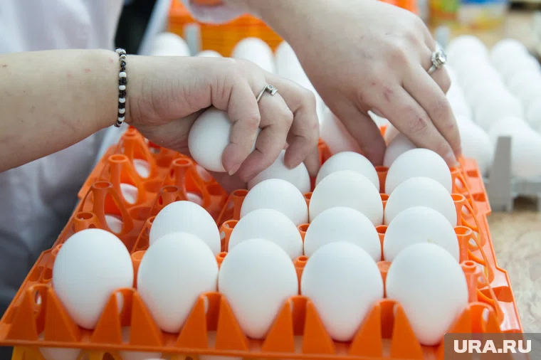 На стоимость яиц влияет сезонность