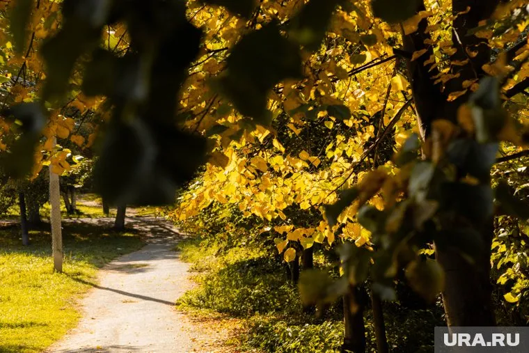 Осадков в сентябре в Кургане будет меньше нормы