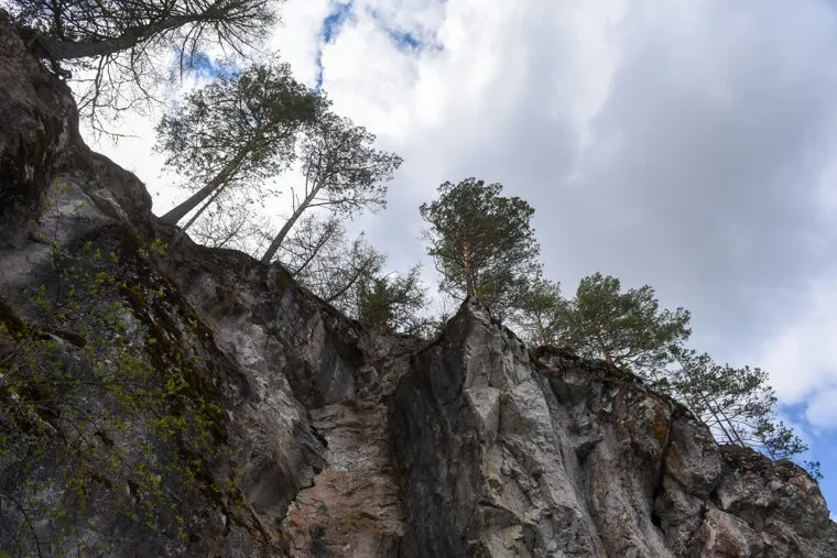 Поездка в Оленьи ручьи