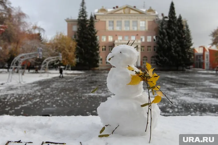 Горожане публикуют в соцсетях фото первых снеговиков