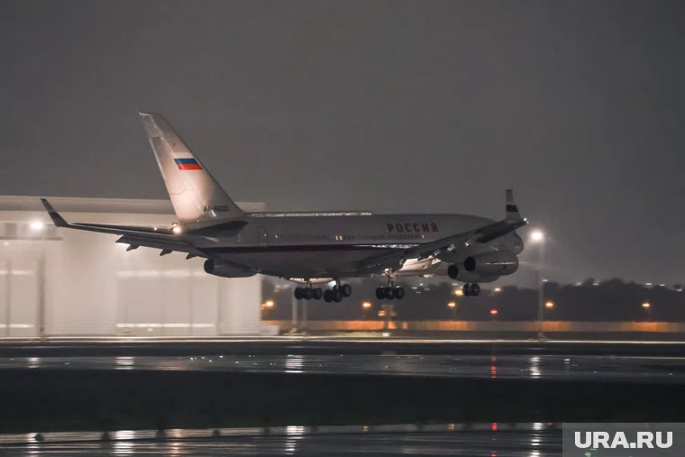 В Домодедово в новогоднюю ночь ввели план «Ковер»