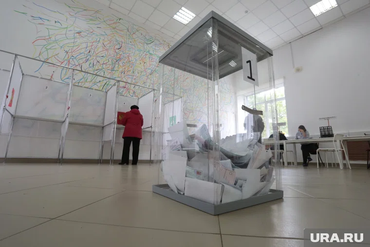 Явка на выборах ЕДГ в 2025 на 8% выше, чем в 2022 году