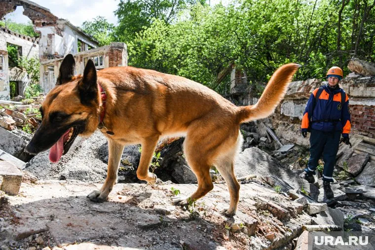 В свердловском поселке ищут 15-летнего подростка