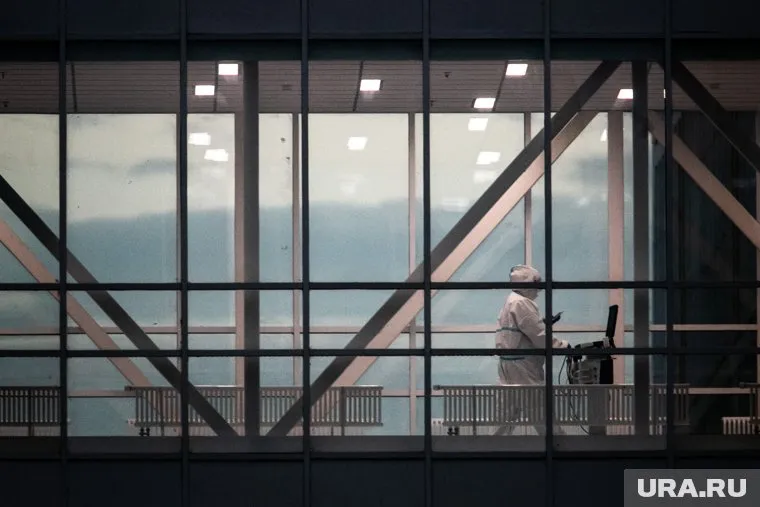 Китайские ученые выяснили, что отключение рецепторов снижало количество вирусных копий РНК в эпителиальных клетках легких у людей