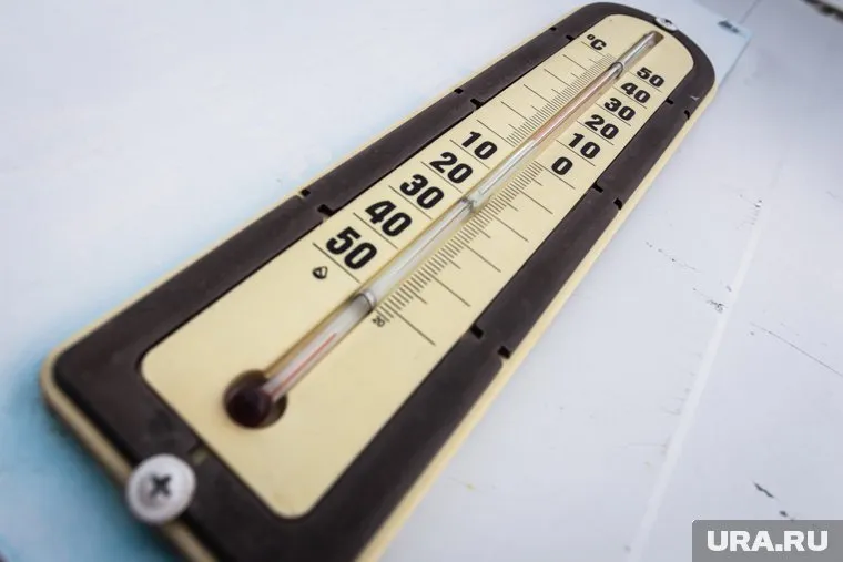 По мнению экспертов, 2024 год может стать самым теплым за всю историю