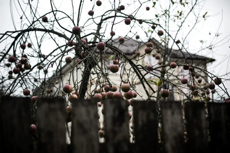 Трудовые мигранты в "Испанских кварталах" и Новой Москве. Москва