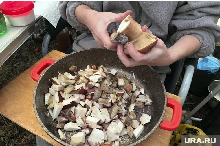 Бывалые грибники утверждают, что собрать — это одно, а приготовить грибы — совсем другое