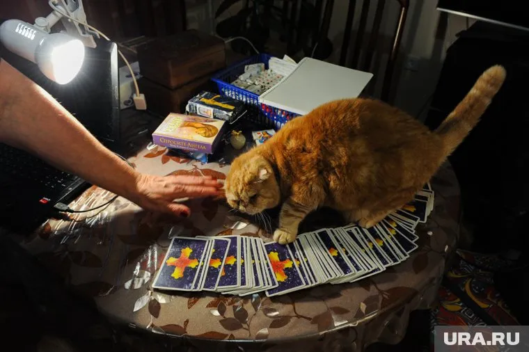 Сотрудники полиции вынуждены осуществлять патрулирование на возможных местах работы колдуна