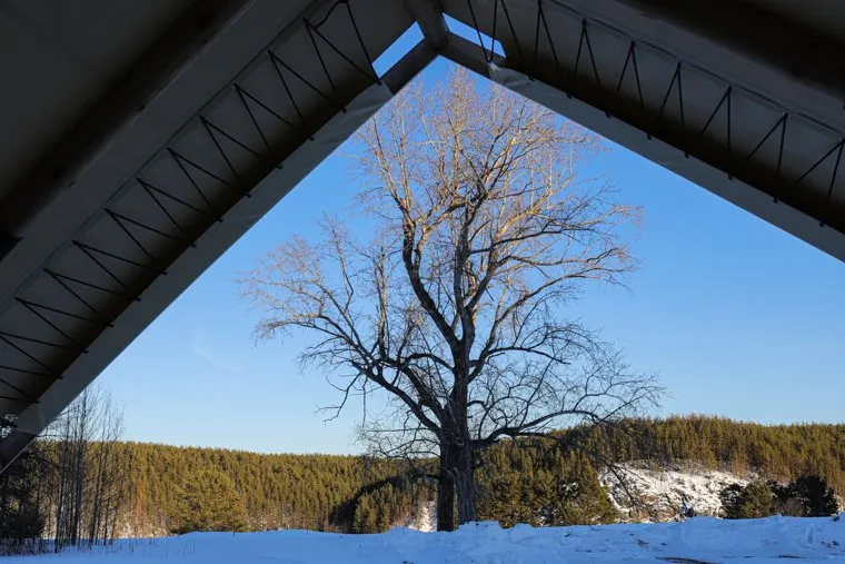 Эко-пространство Дивий Камень. Сухой Лог