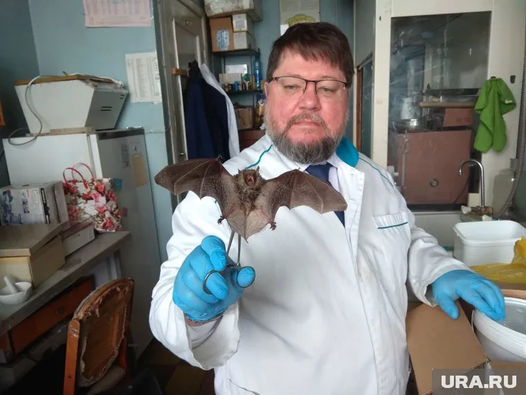 В эфире URA.RU — один из лучших в мире знатоков коронавирусов