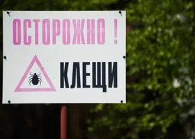 Роспотребнадзор запрещает работу загородных клубов около Екатеринбурга из-за активности клещей