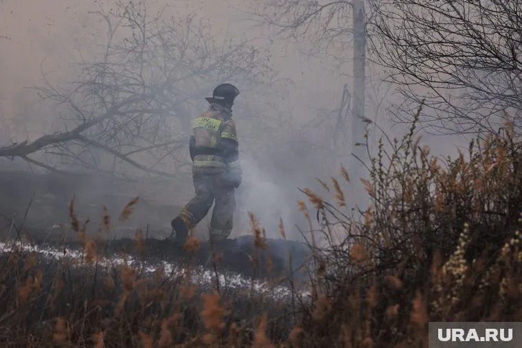 В трех районах курганской области тушат природные пожары