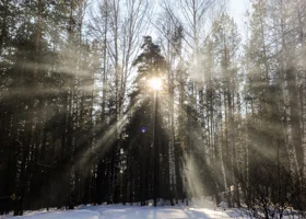Светило пока спокойно: какой силы будет магнитная буря 20 ноября 2025