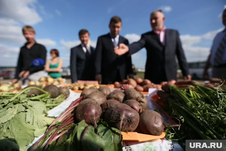 Сенатор отметил, что в стране есть дефицит самых простых овощей