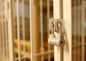 Тюменский экс-депутат, отправленный за решетку, оспаривает приговор