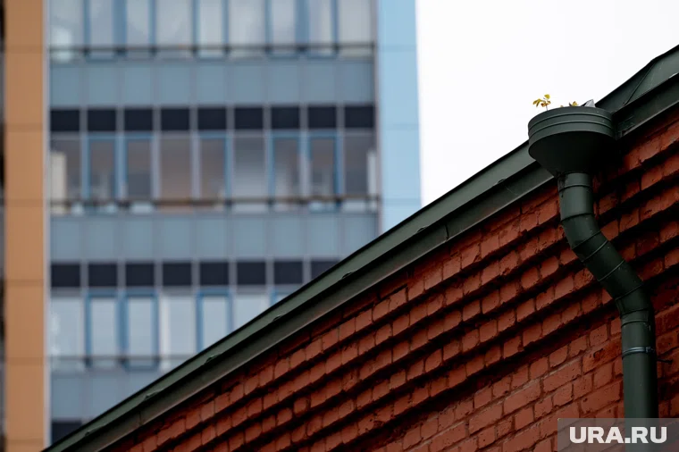 Нашли опекунов ребенка, чью голову выловили из пруда в Минобороны РФ, сообщила Baza