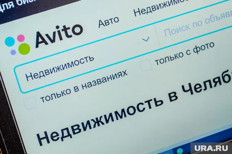 Санаторий находится в сосновом лесу
