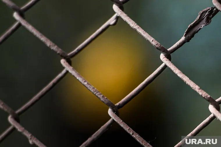 По тропе, загороженной забором, раньше ежедневно ходили люди