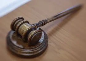 Уполномоченный РФ при ЕСПЧ уличил суд Гааги в заговоре из-за приговора по делу о Boeing