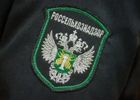В кафе, где отравились пермяки, использовали продукты неизвестного происхождения