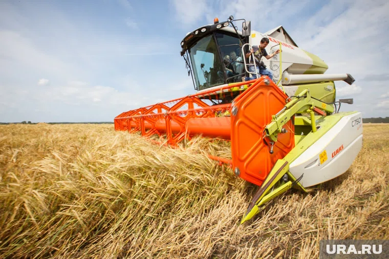 Тюменские аграрии собрали более 1,8 миллиона тонн зерона