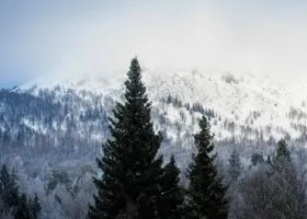 Топ-10 «чудес света» Адыгеи: почему сюда массово едут зимой