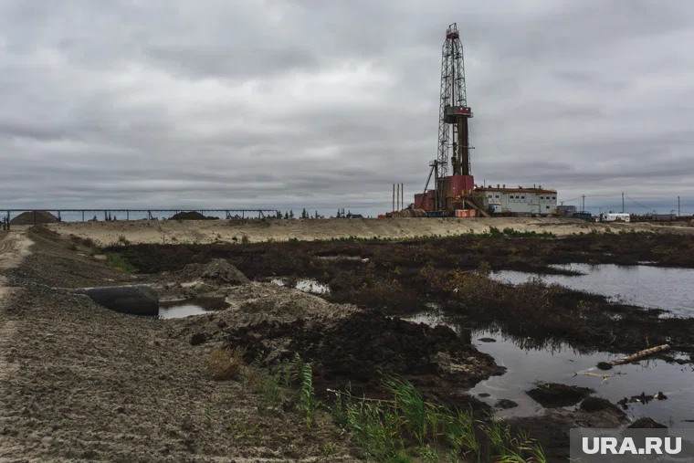 Бизнесмен из ХМАО получил лицензии на поиск нефти и газа на югорских месторождениях