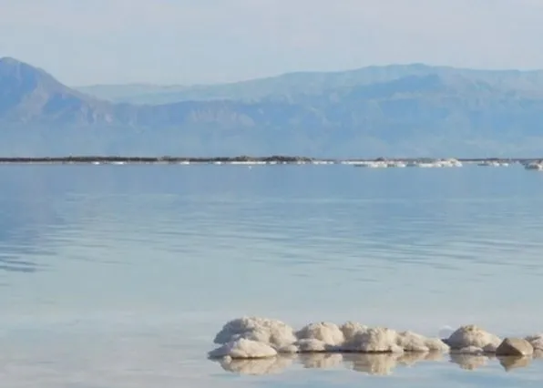 Фотография из галереи