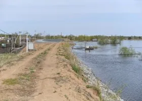 Ямальцы оценили работу спасателей в затопленном Тарко-Сале