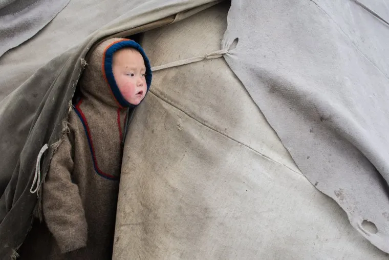 ЯНАО. Тундра + досрочные выборы, ребенок, чум, ненцы, кмнс