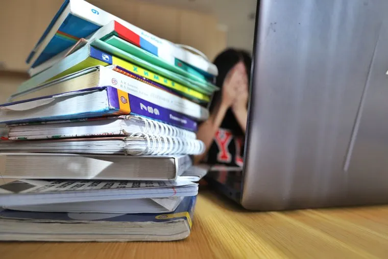 Клипарт на тему дистанционного обучения. Курган 