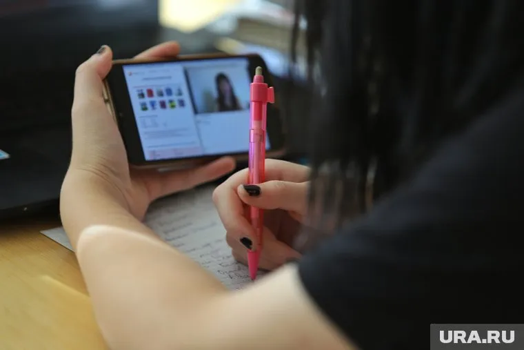 Дешевле всех у репетиторов Челябинска изучать историю