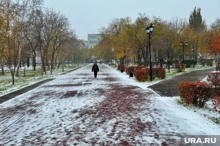 Осадки в виде мокрого снега ожидаются в Кургане и Шадринске