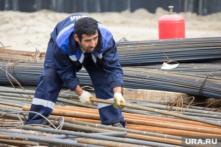 Правительство просят помочь в организации «зеленого» коридора для мигрантов