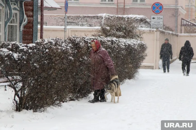 Последний раз пенсионерку видели в Ревде на улице Пугачева,162