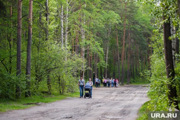 За посещение леса и разведение костра будут наказывать по закону