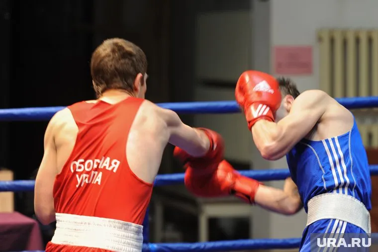 Тренера спортсмена, рефери и судью отстранили от работы