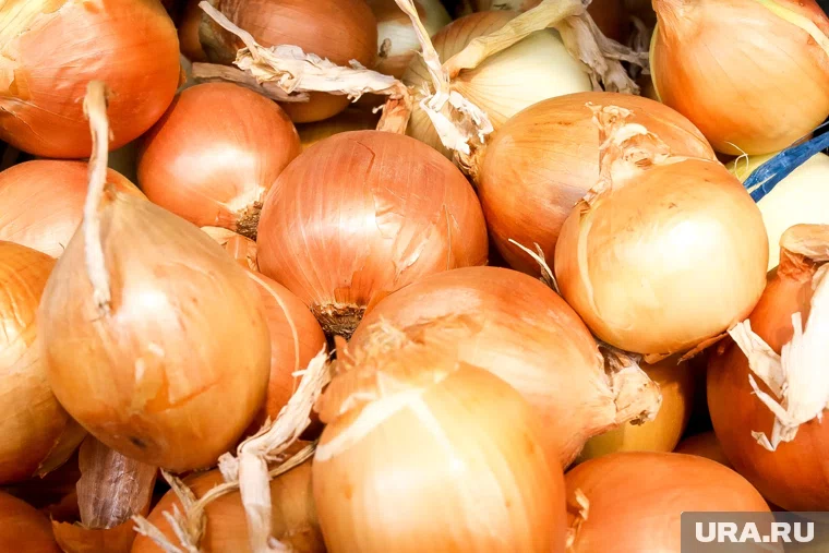 Груз был возвращен на территорию соседнего государства под контролем компетентных органов