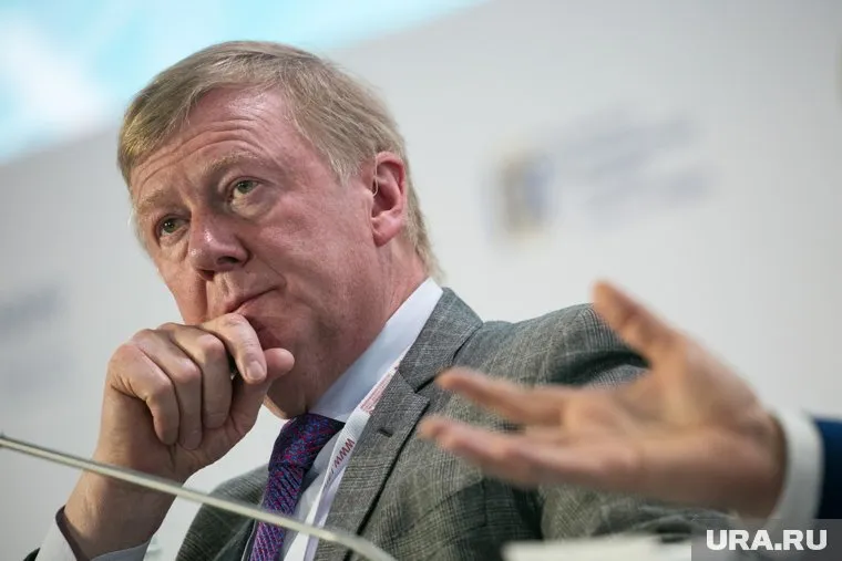 Анатолий Чубайс считает, что нужно научиться высчитывать реальный душевой доход