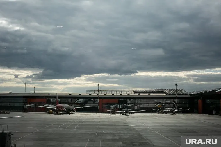 Мощный ветер вырывает деревья в центре Москвы (архивное фото)