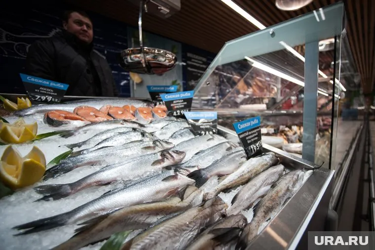 Мишустин побывал в рыбном порту Магадана 